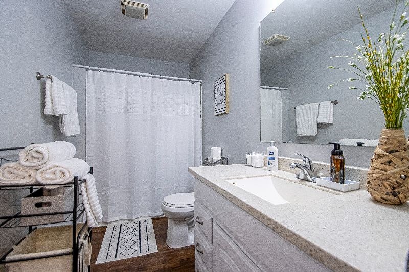 Furnished Finder property 365324_1 photo 16