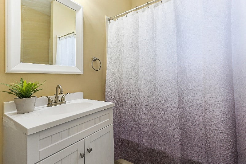 Furnished Finder property 365354_1 photo 12