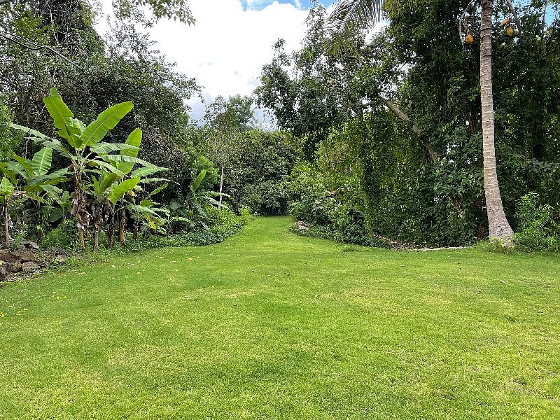 Furnished Finder property 365466_3 photo 6