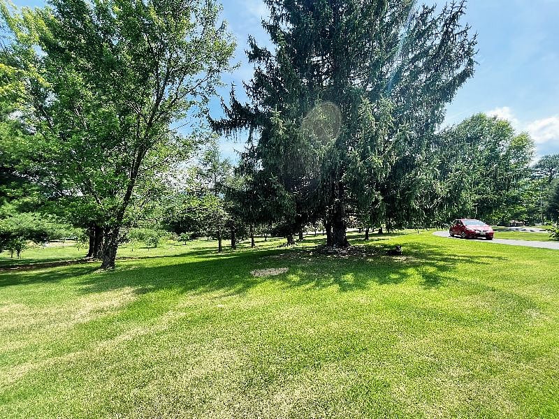 Furnished Finder property 365487_1 photo 11