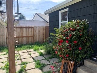 Furnished Finder property 365488_1 photo 16