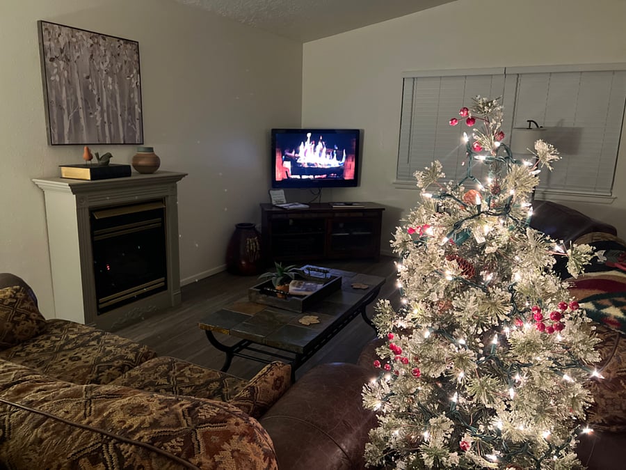 Furnished Finder property 365489_1 photo 37