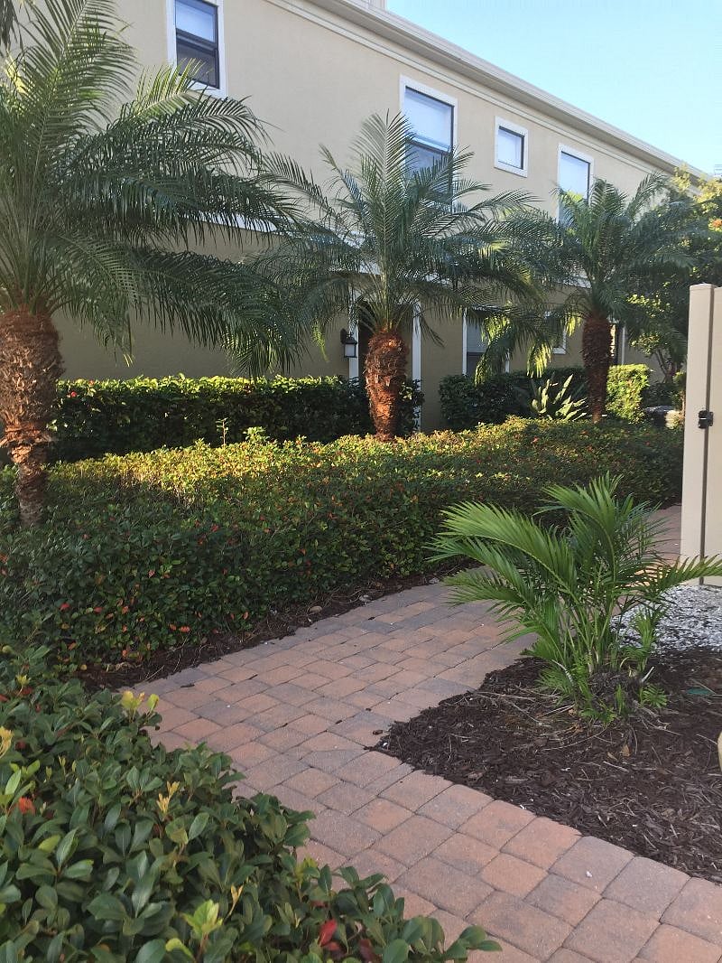 Furnished Finder property 365543_1 photo 19