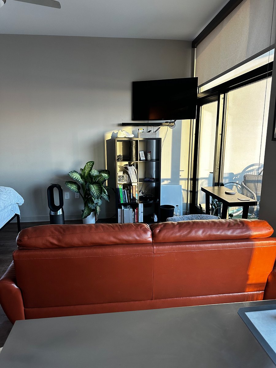 Furnished Finder property 365564_1 photo 23