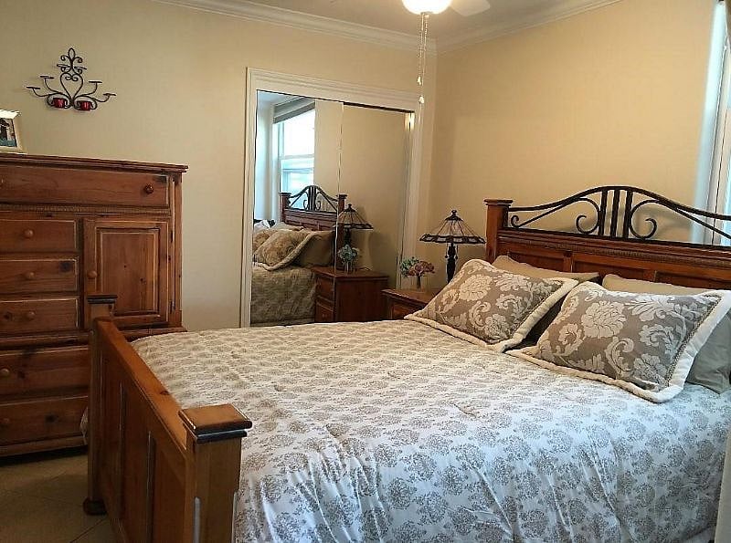 Furnished Finder property 365700_1 photo 6