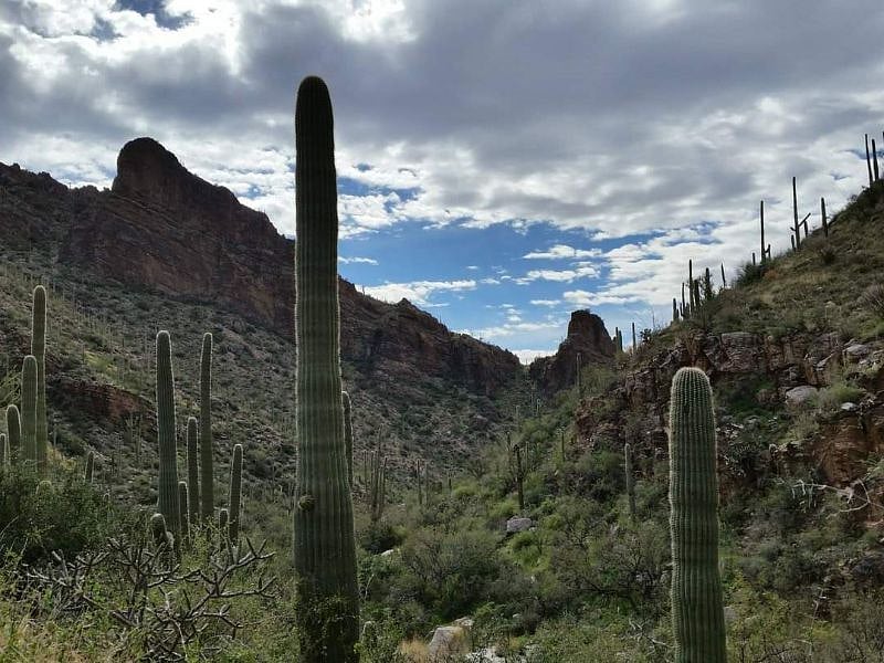 View from Ventana Canyon.