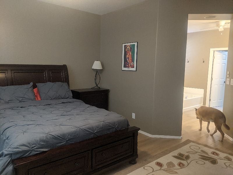 Furnished Finder property 365823_1 photo 4