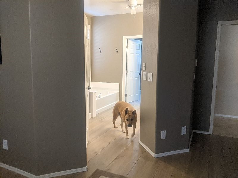 Furnished Finder property 365823_1 photo 6