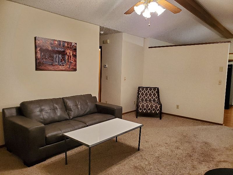 Furnished Finder property 366036_1 photo 20