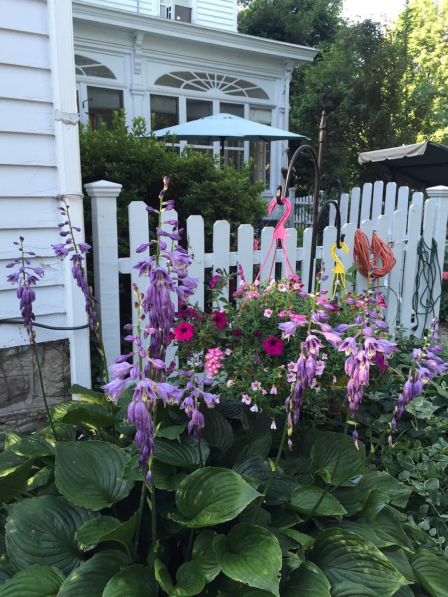 Furnished Finder property 366316_3 photo 19