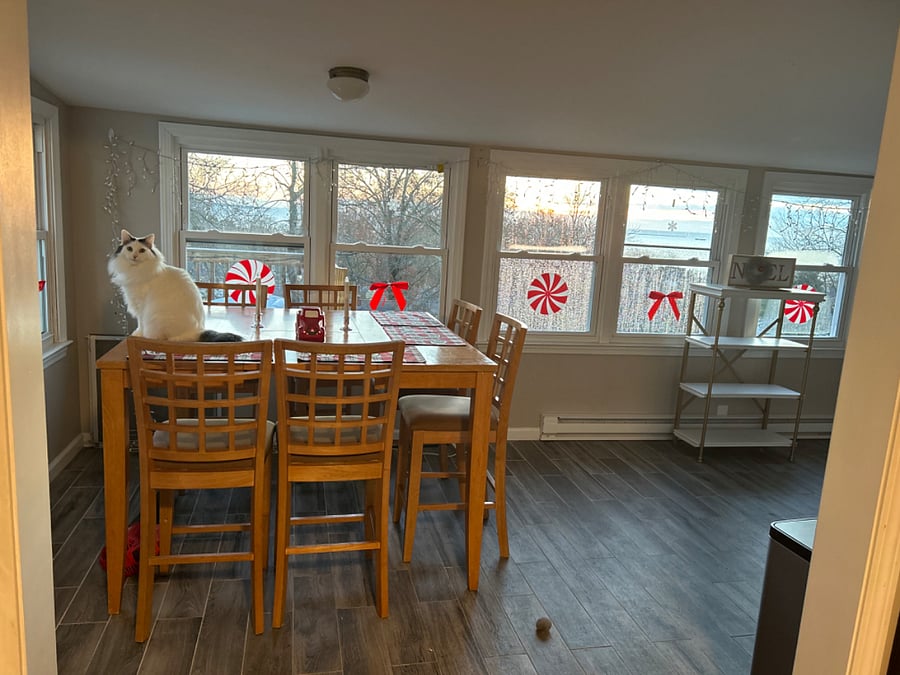 Furnished Finder property 366337_1 photo 37