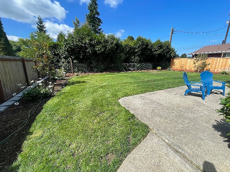 Newly landscaped, lush backyard, and fence!
