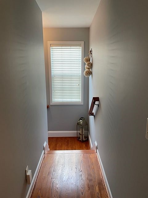 Furnished Finder property 366695_1 photo 14