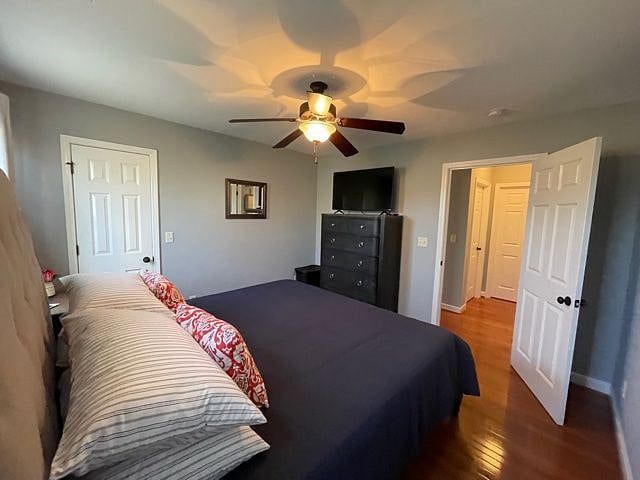 Furnished Finder property 366695_1 photo 16