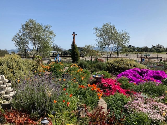 View from sliding glass door. Sit out on the patio and watch the hummingbirds dip in and out of the flowers!