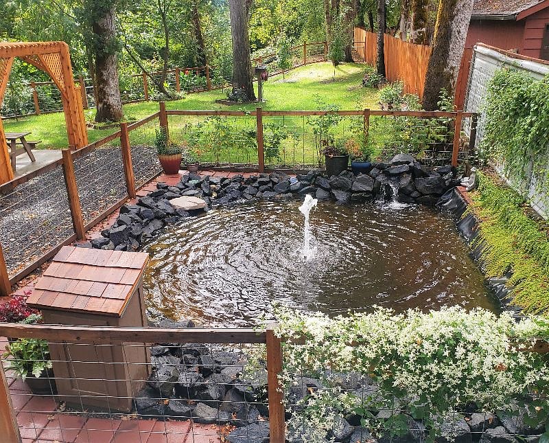 Large pond in fenced private park area behind cabin.