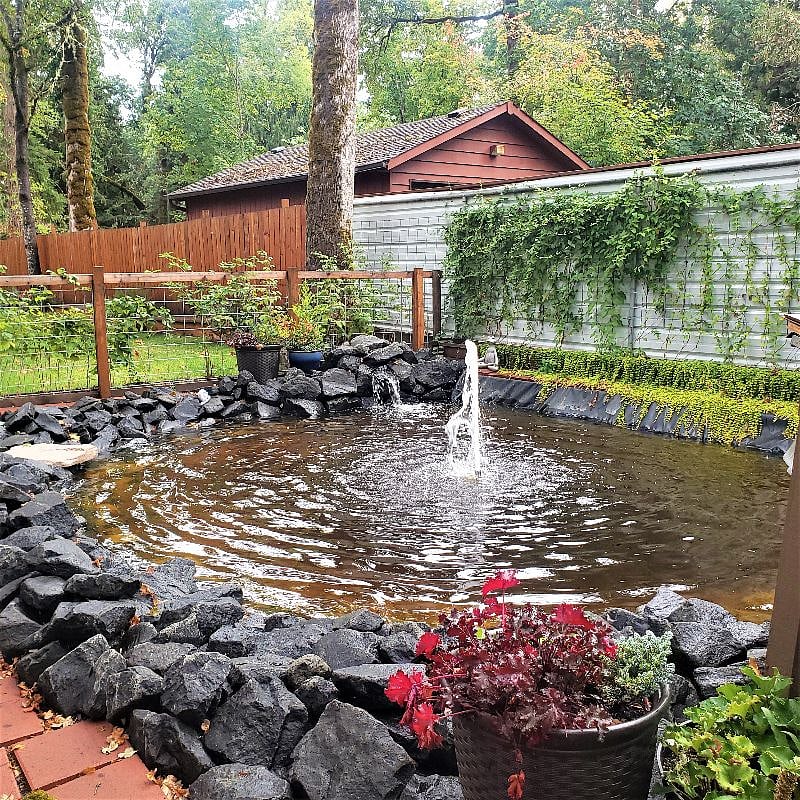 Waterfall and fountain in pond.
