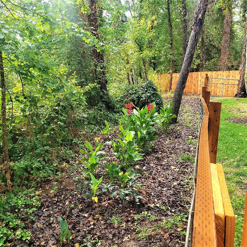 Deer trail between back fence of private park and Silk Creek, a year round stream.