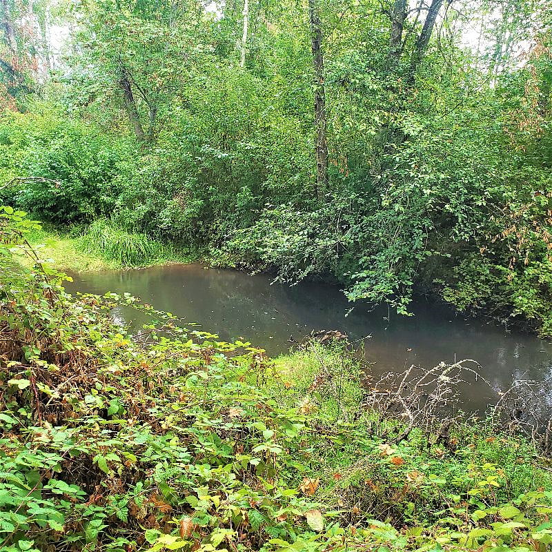Silk Creek looking East.