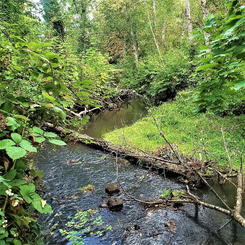 Silk Creek looking West.