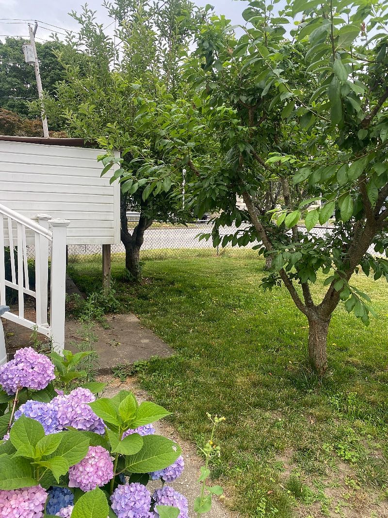 Furnished Finder property 366884_1 photo 10