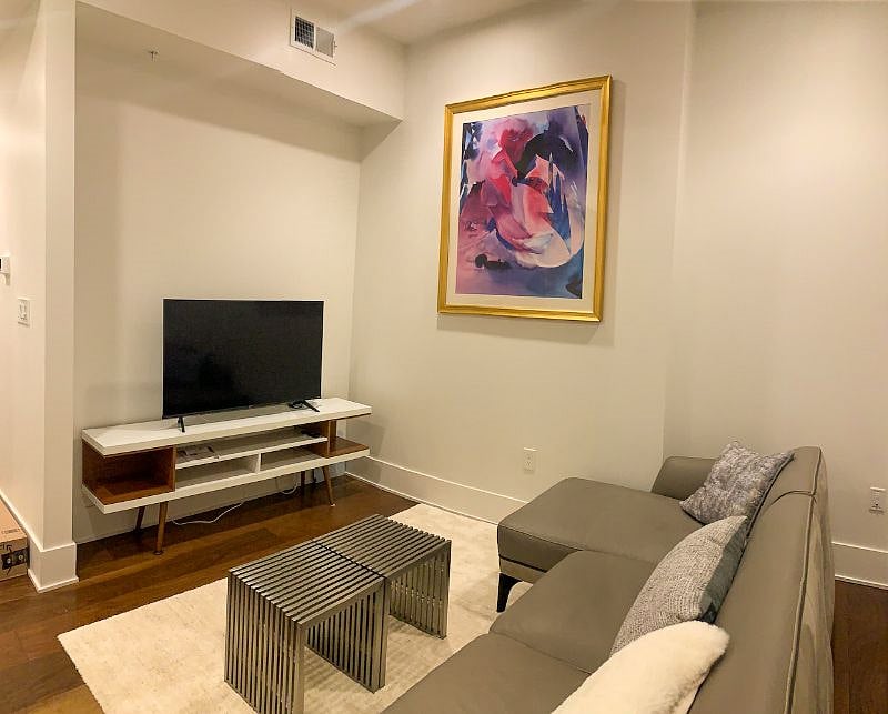 Living Room with TV, leather sofa