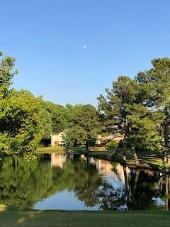 Neighborhood Pond