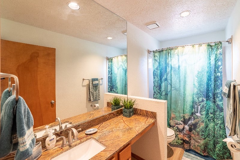 Furnished Finder property 367050_1 photo 13