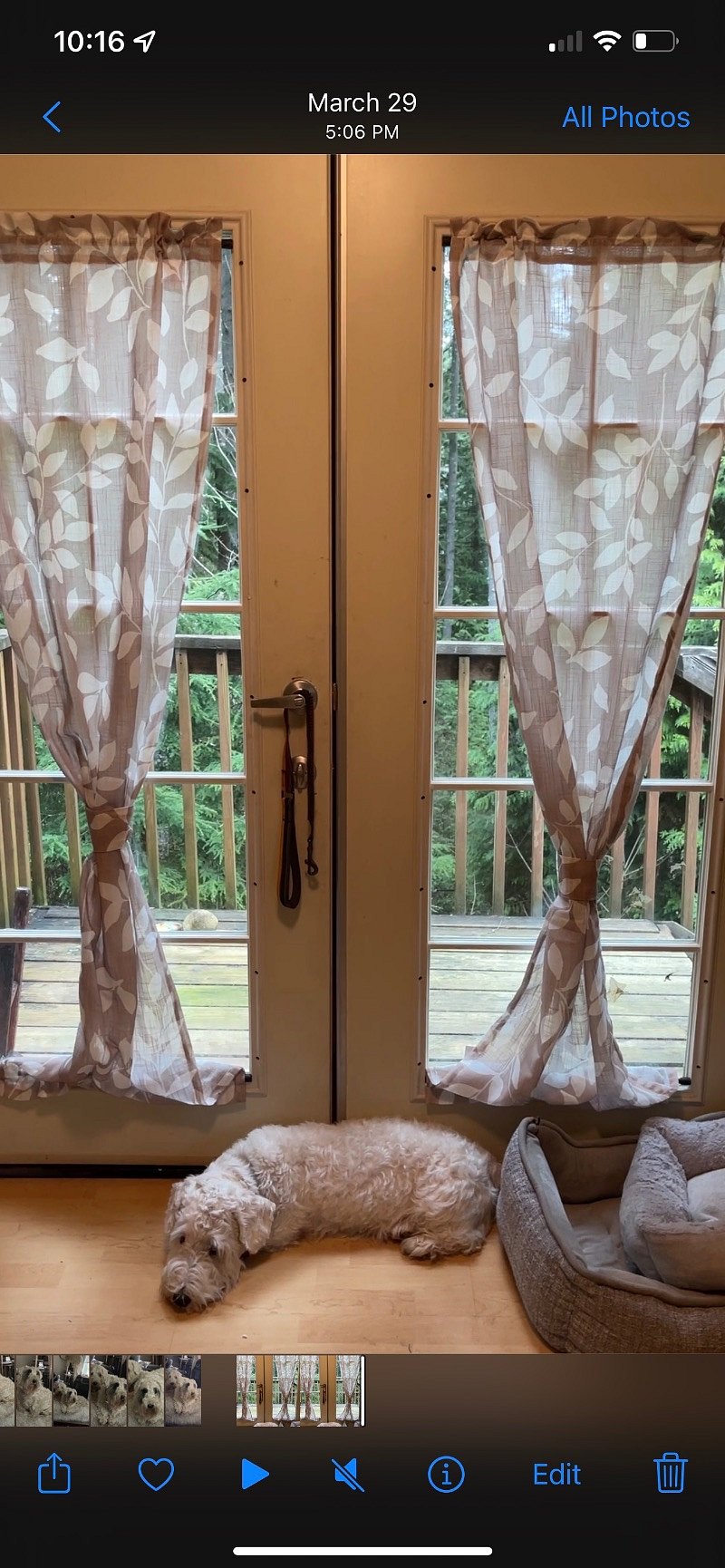 Furnished Finder property 367140_1 photo 1