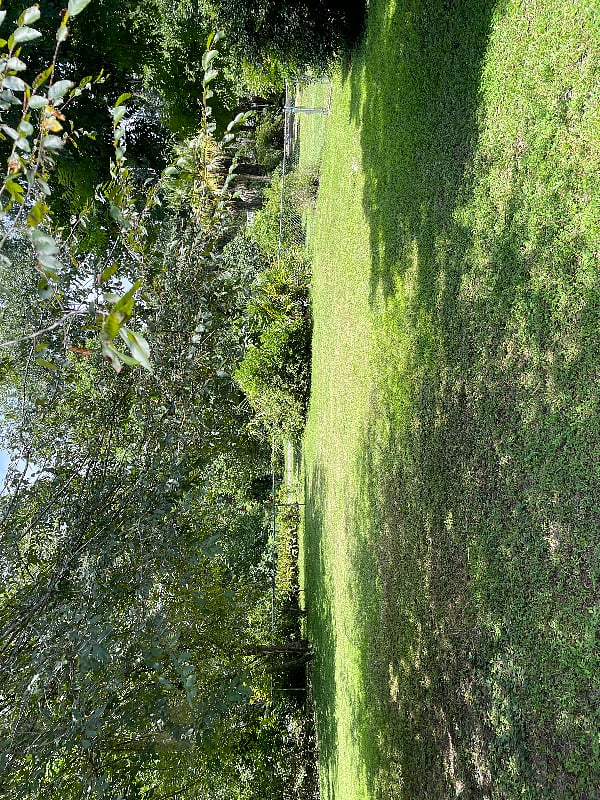 Large private yard