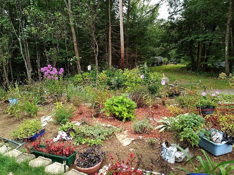 Perrenial garden in front with peek a boo view of Kilton Pond