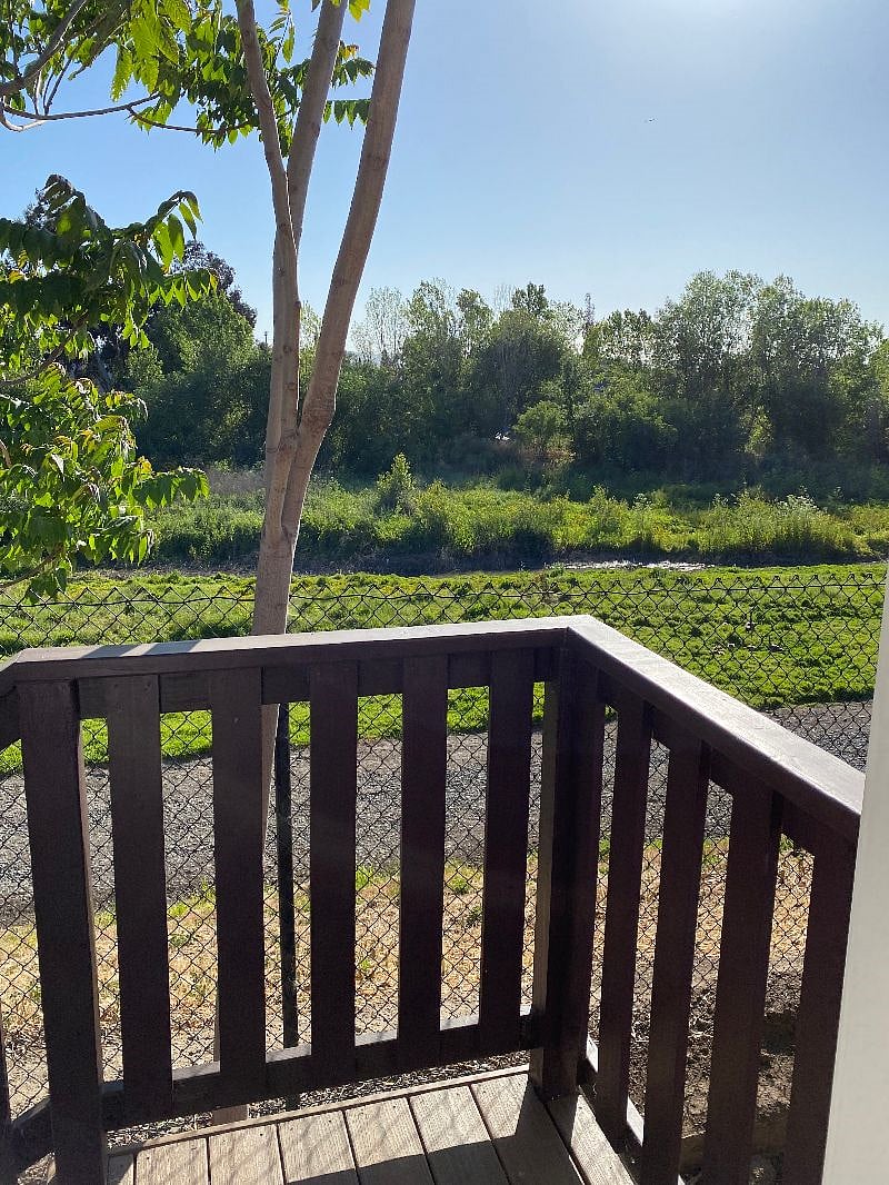 Furnished Finder property 367594_1 photo 18