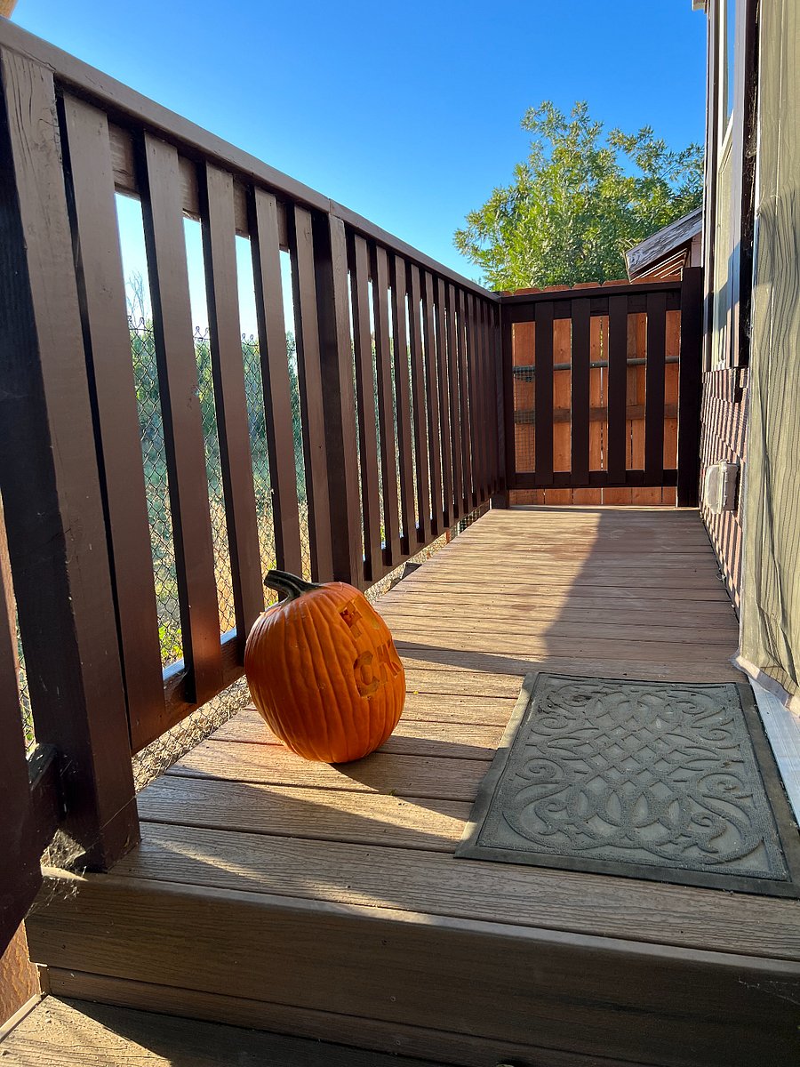 Furnished Finder property 367594_1 photo 17