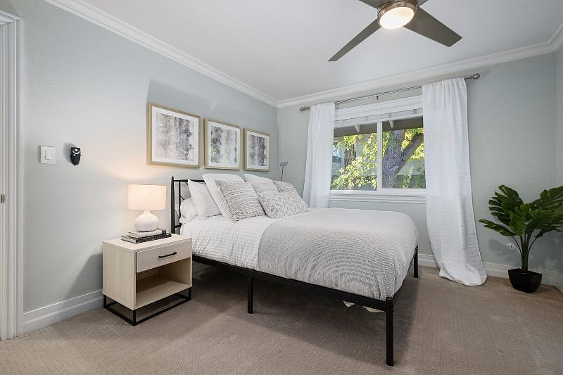Furnished Finder property 367727_1 photo 18