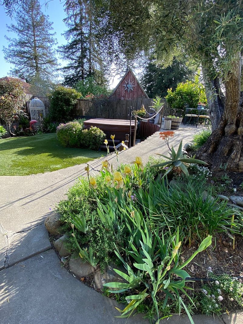 shared yard with a HOT TUB