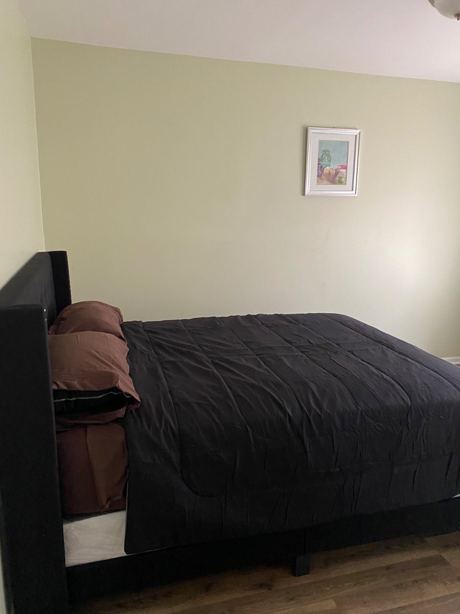 Furnished Finder property 367742_2 photo 9