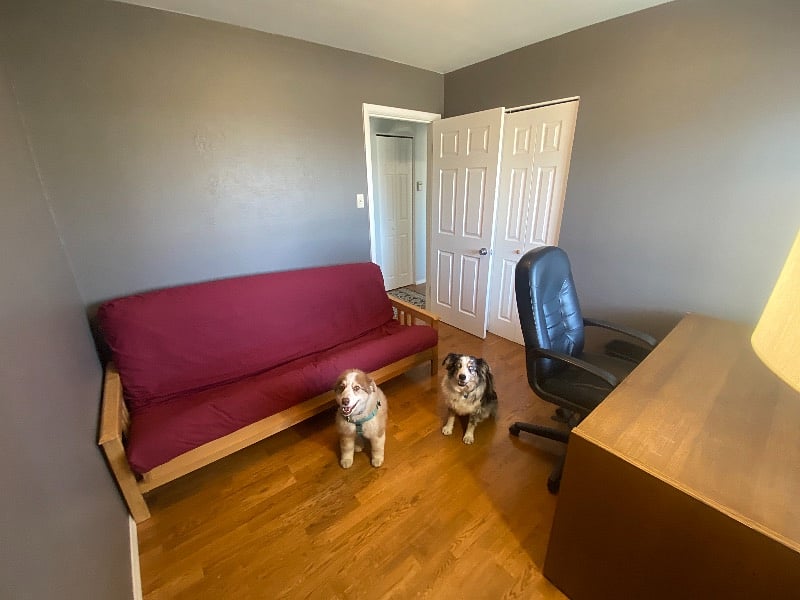Furnished Finder property 367813_1 photo 17