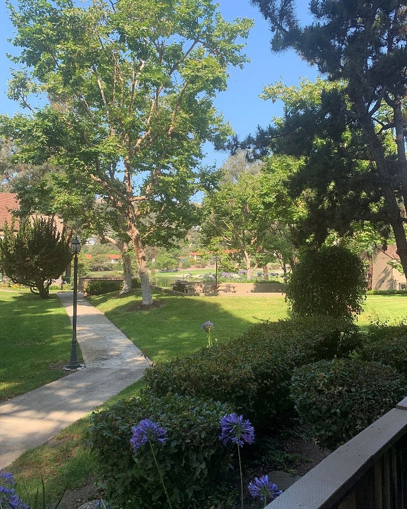 Back Patio View (plush with Golf Course)