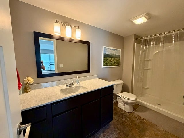 Full bathroom with walk-in shower in walk-out basement