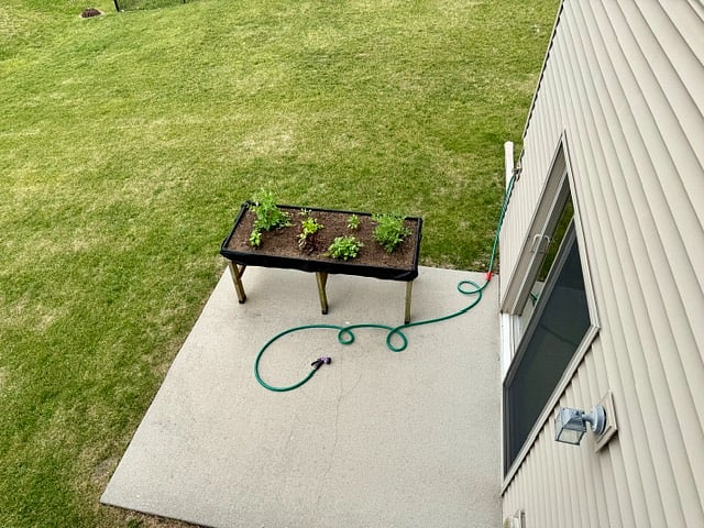 Raised garden bed. Cement patio and large un-fenced yard.