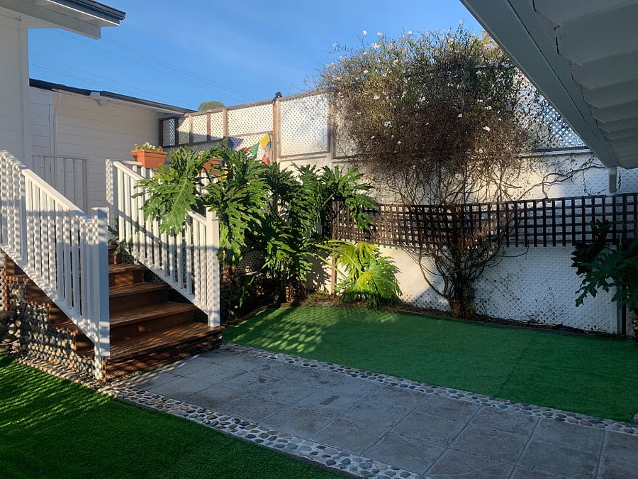 New Pictures of New Turf and Plants Coming Soon