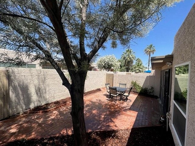 back yard