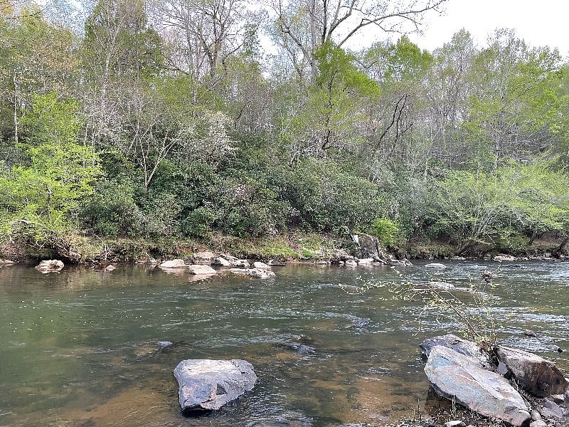 5 minute drive away to Eno River at West Point on the Eno Park. 