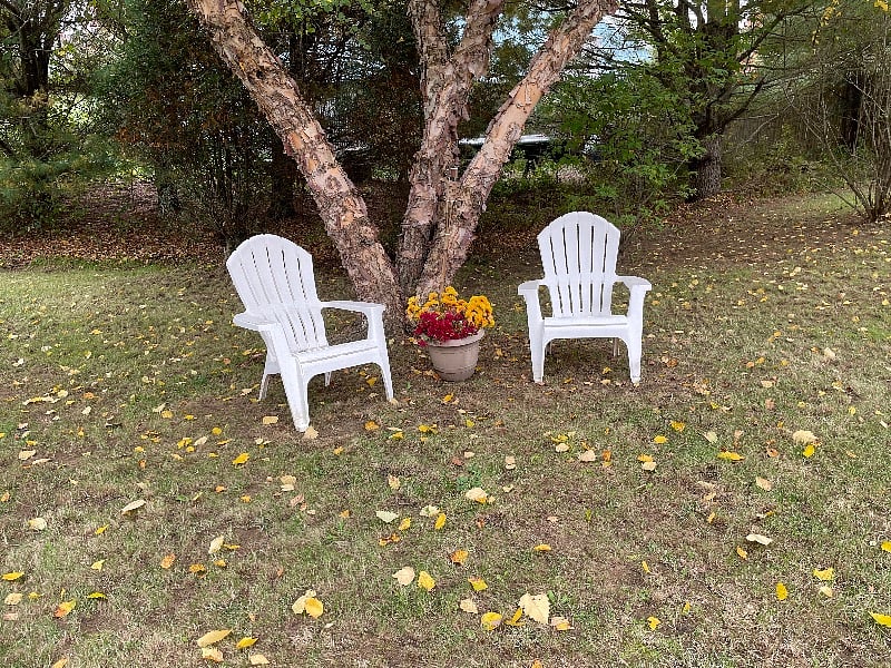 Furnished Finder property 368519_1 photo 4
