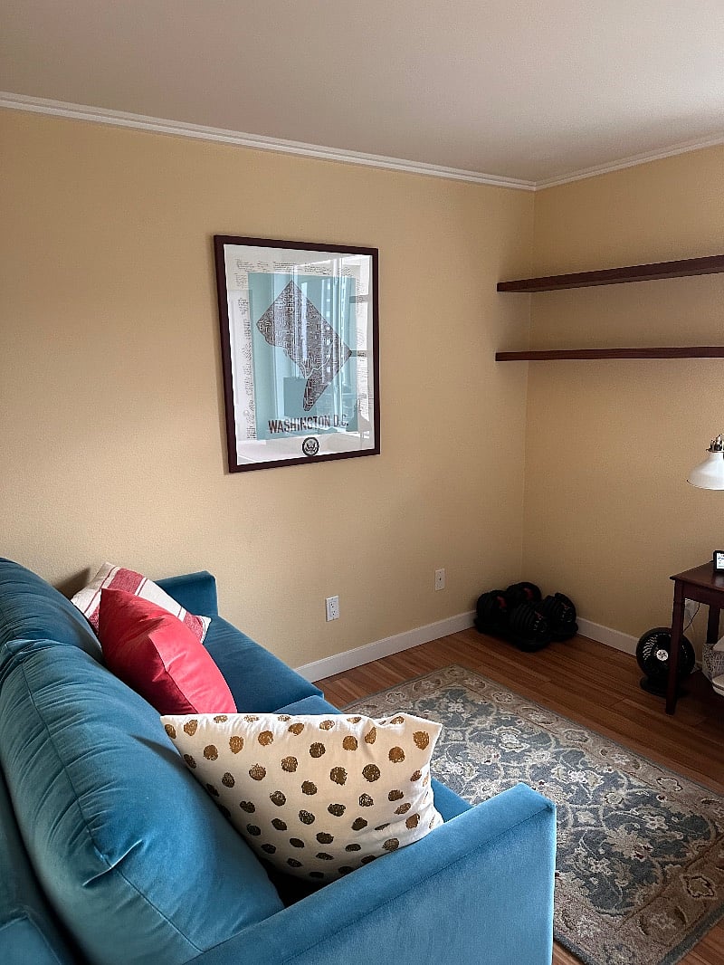 Room and Board sleeper sofa