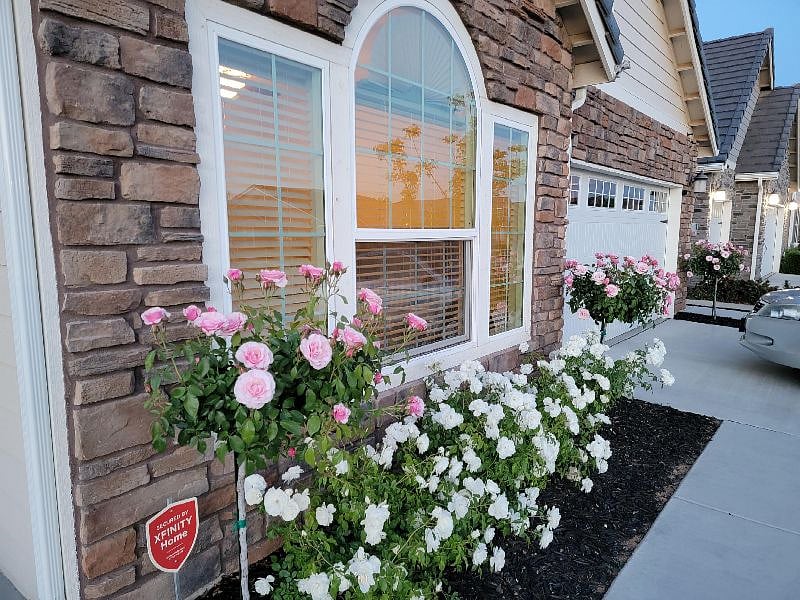 Furnished Finder property 368553_1 photo 3