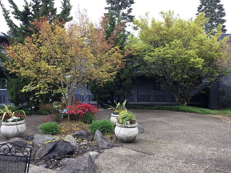 Photo of condo taken from the patio common area.