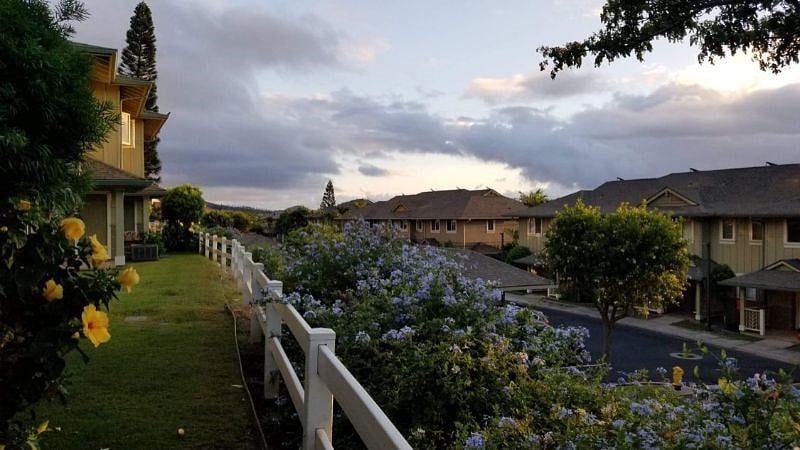 Furnished Finder property 368753_1 photo 9