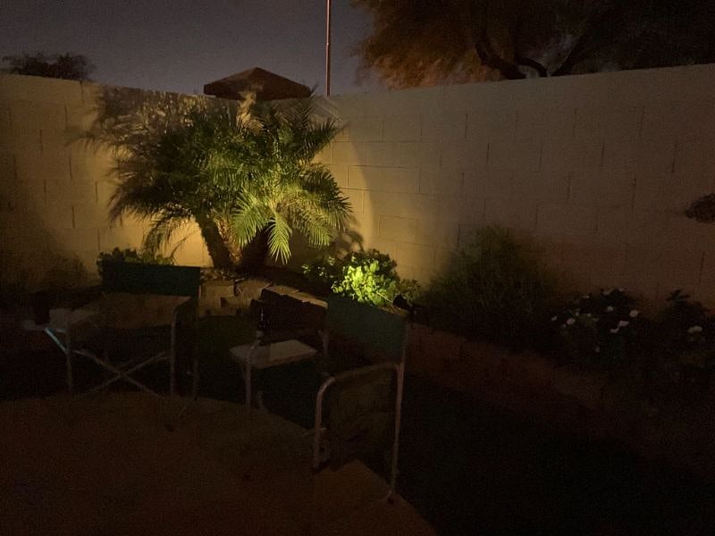 Subtle landscape lighting