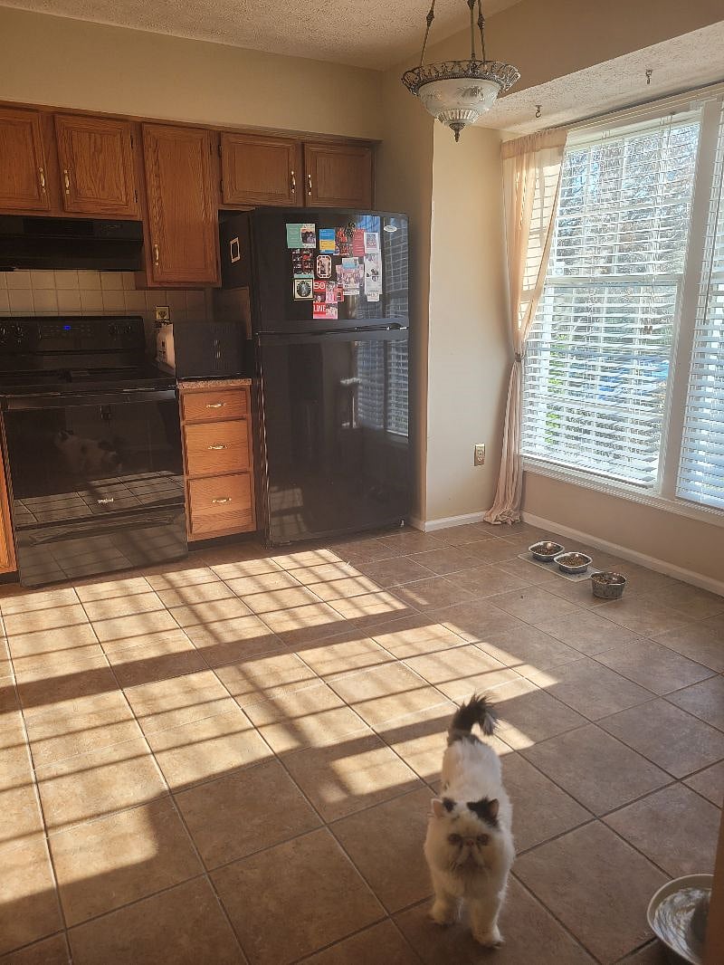 Furnished Finder property 369000_1 photo 8